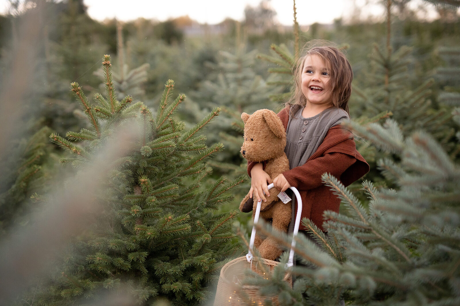 fotos weihnachten